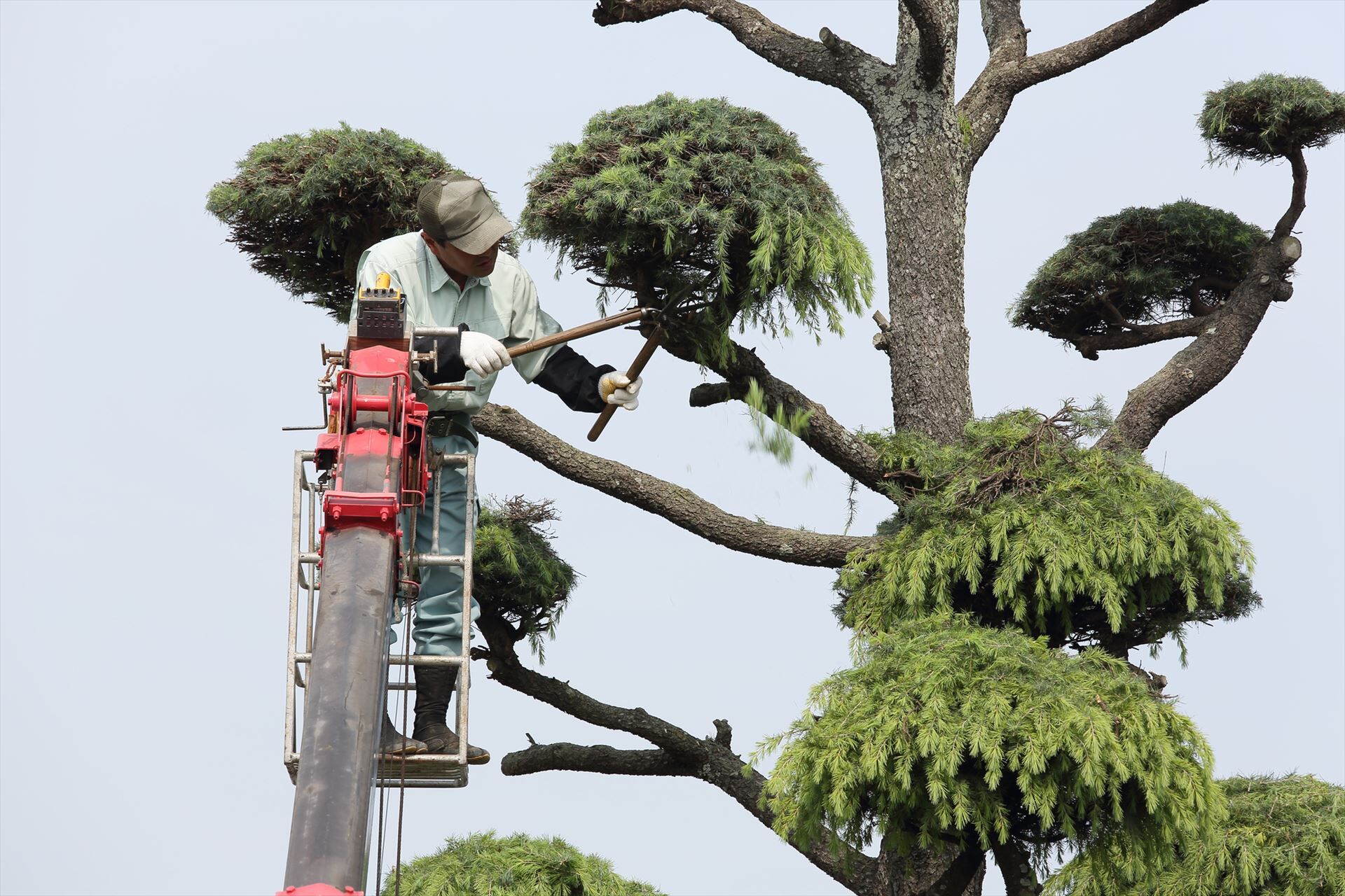 高所で作業するスタッフ
